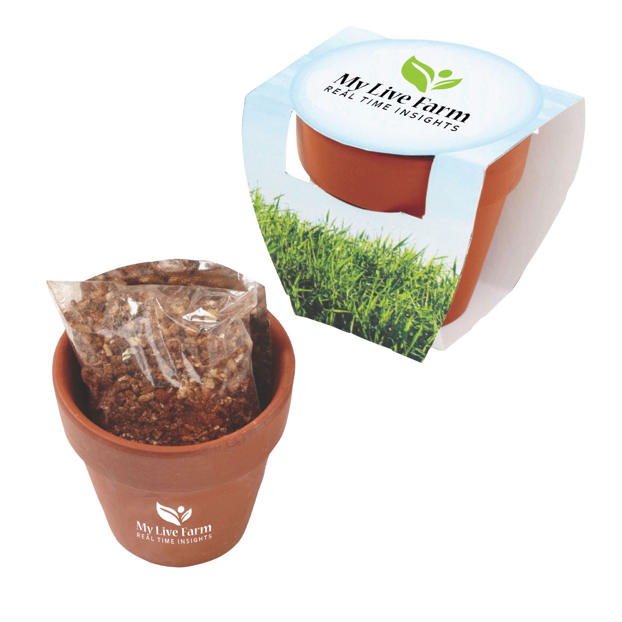 Seed Sensations Terracotta Pot