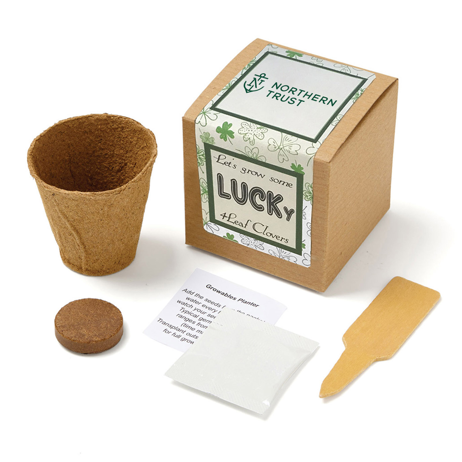 Lucky 4 Leaf Clover Growables Planter in Kraft Gift Box