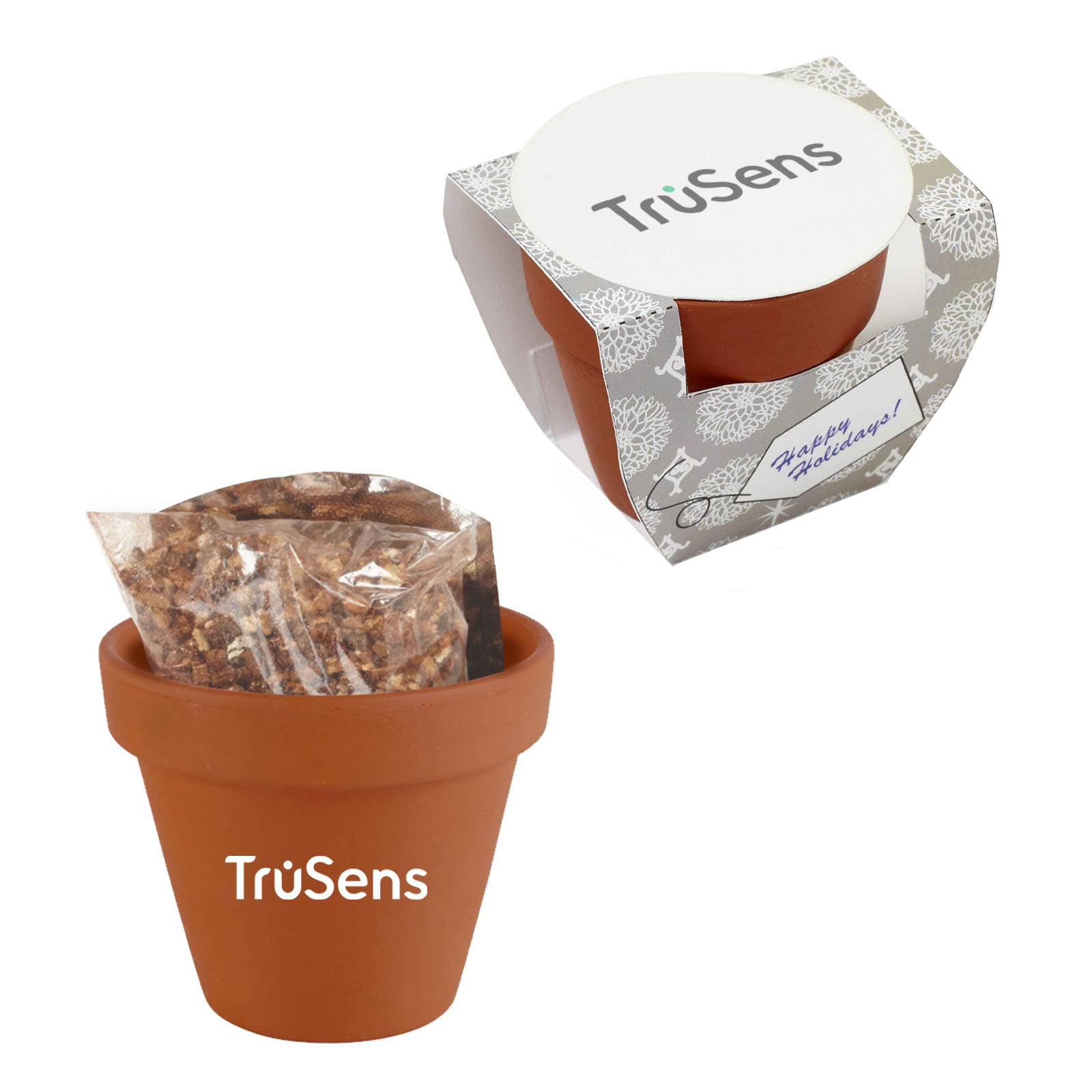 Seed Sensations Terracotta Pot With Holiday Wrapper 
